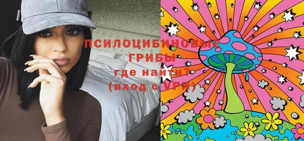 гидра Алексеевка