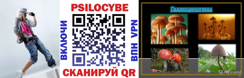 Псилоцибиновые грибы ЛСД  Купить закладки  Гремячинск 